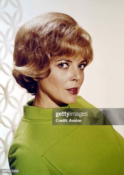 barbara bain sexy|66 Barbara Bain 1960s Stock Photos & High